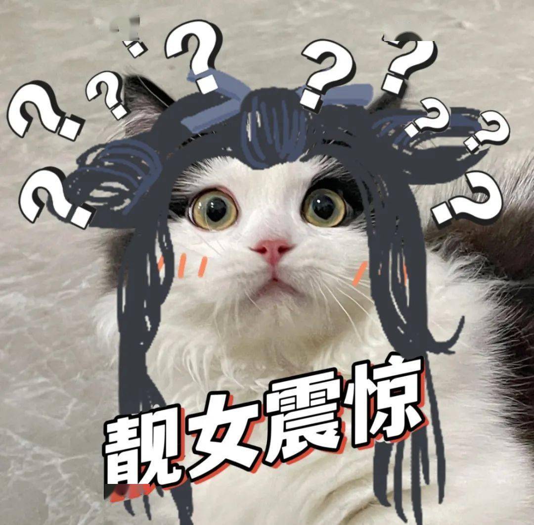 这一下给倩倩惊地一时表情管理失败,三界里结婚离婚或是有缘奔现都见