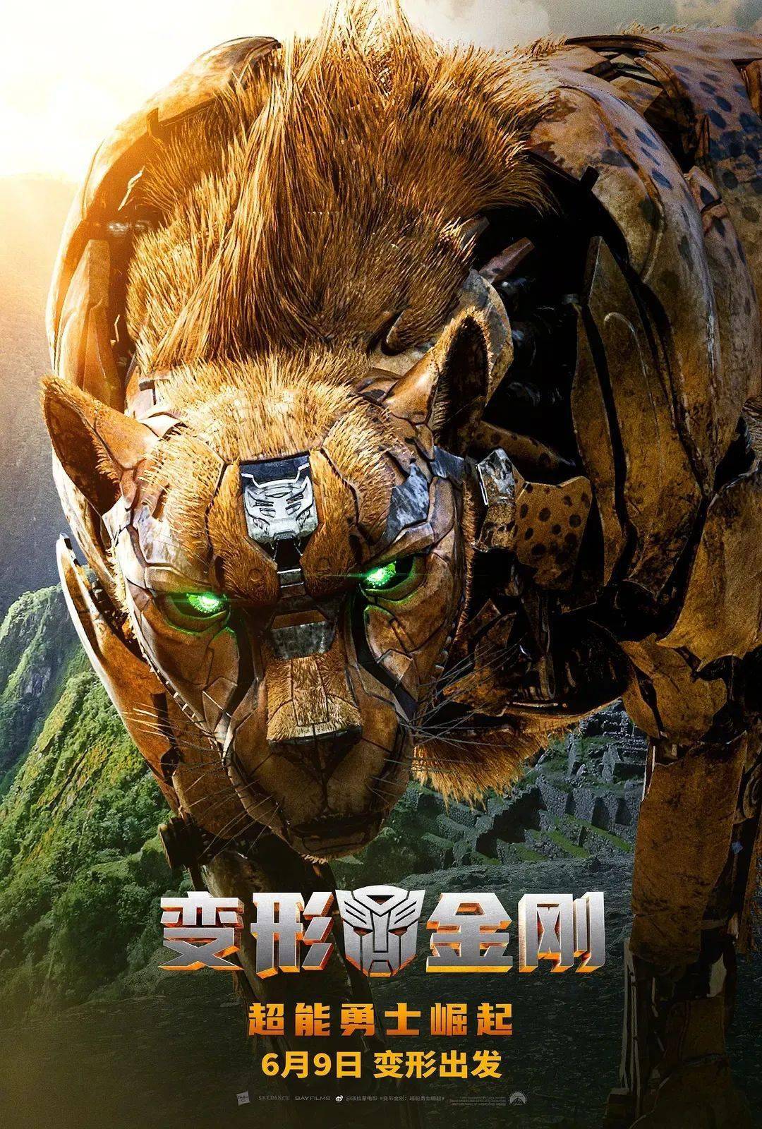 大黄蜂_擎天柱_阵营