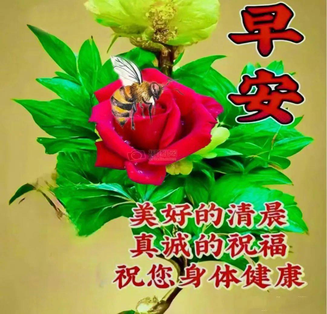 早安馨語:吉祥如意送給你,願你幸福又安康!_祝福_生活_開心