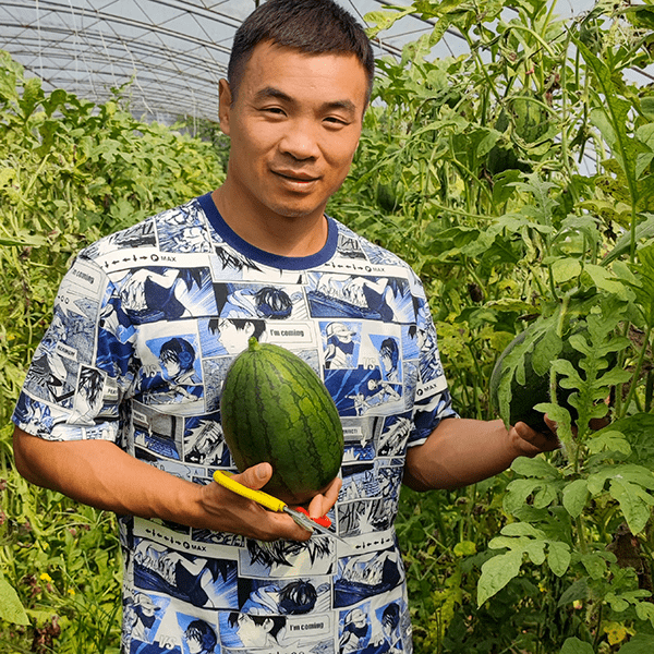 大兴瓜农都能在这免费展示_sdfd_庞各庄_品种