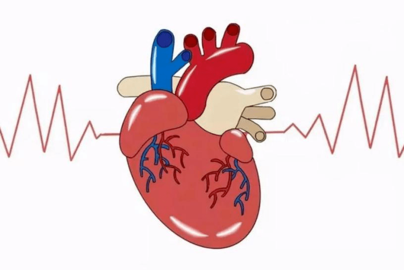【科普】儿童保健锦囊:胎儿心脏超声——你想了解的都在这里