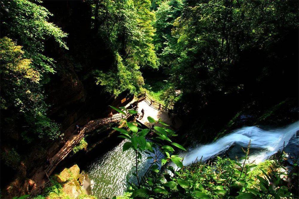 雅安本地市民凭本人身份证,是可以享受到碧峰峡,蒙顶山等景区门票优惠