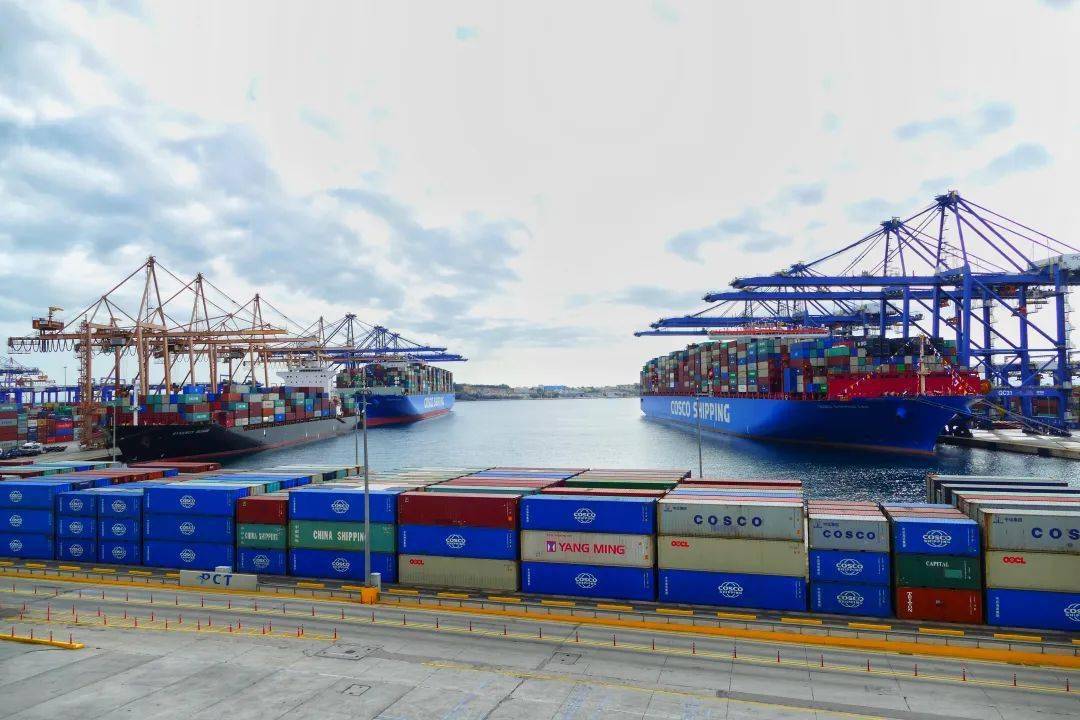 中远海控稳中求进的数字化进阶之路 | 航运界_服务_为客户提供_物流