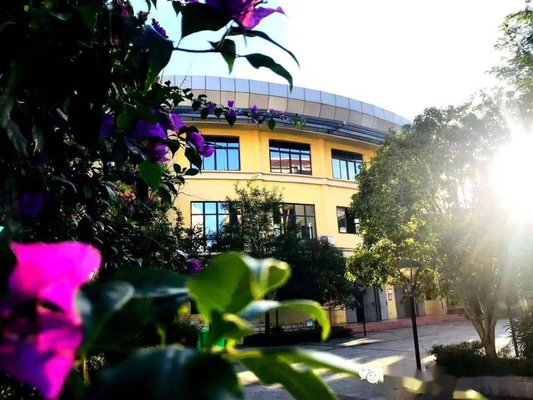 梁平桂香小学关于2023年招生入学工作的通知_登记_户籍_房产