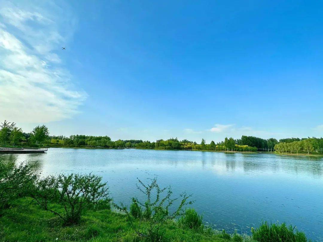 水中有林,林水相依的湿地森林景观,这里就是东郊湿地公园
