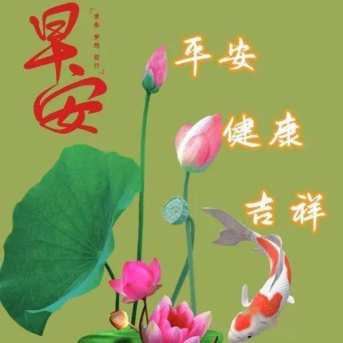 早上好图片漂亮祝福