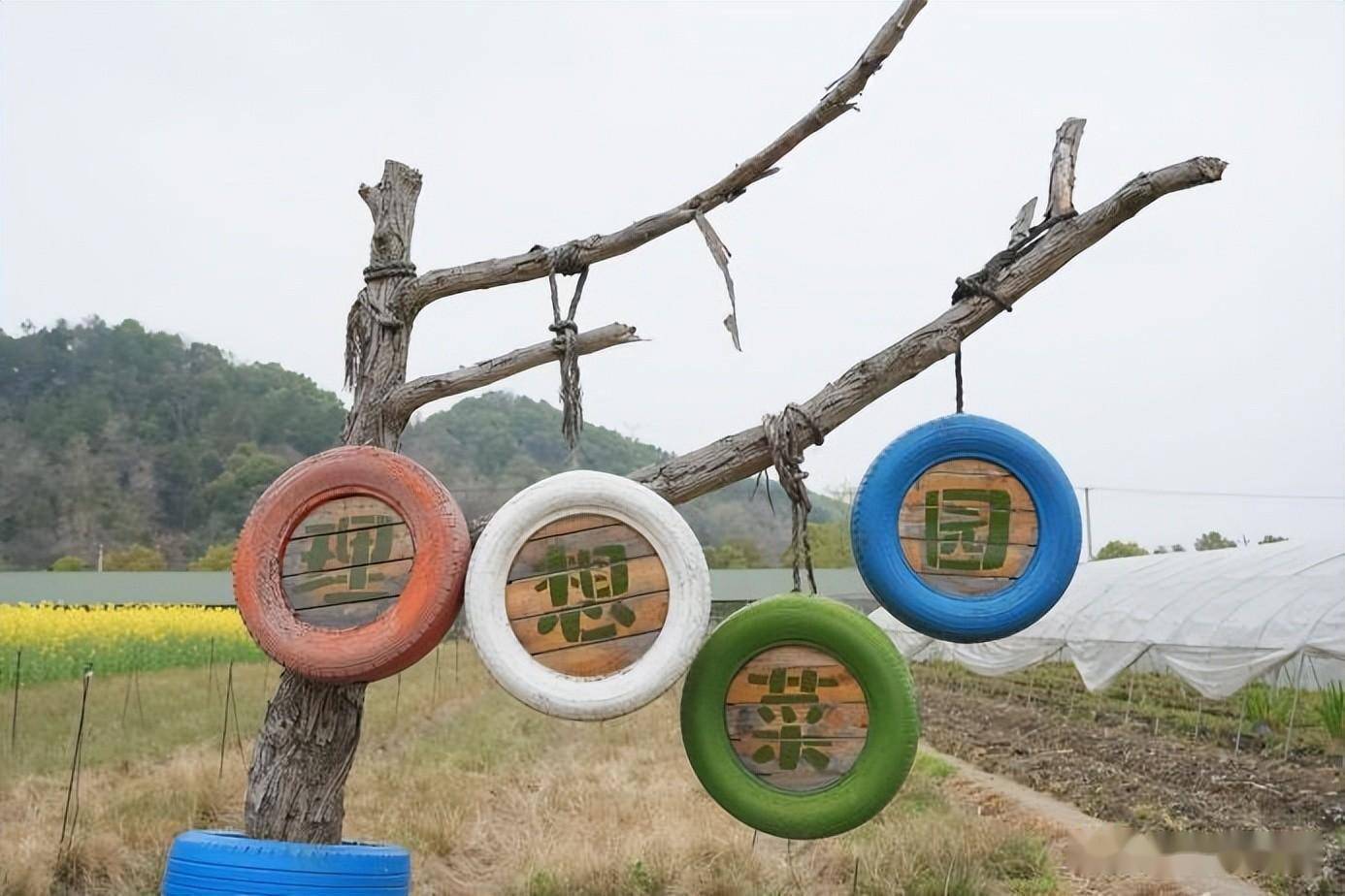 農場主一天日記 《童趣樂行記》入駐戴村智慧農創園_小朋友_歷史_活動