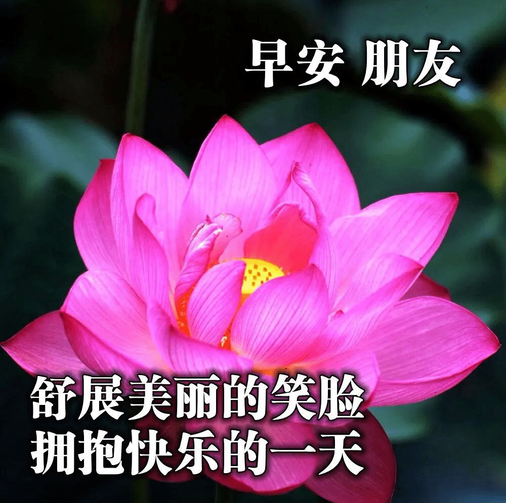 最新版最漂亮的早上好短语句子，问候暖心，早安吉祥！（早上好短句 新版2021）