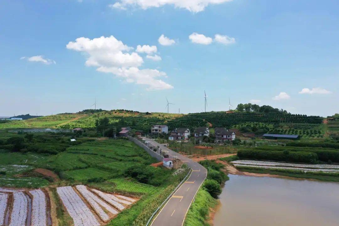 新余渝水区向阳花开振兴路_红山村_王正刚_民族