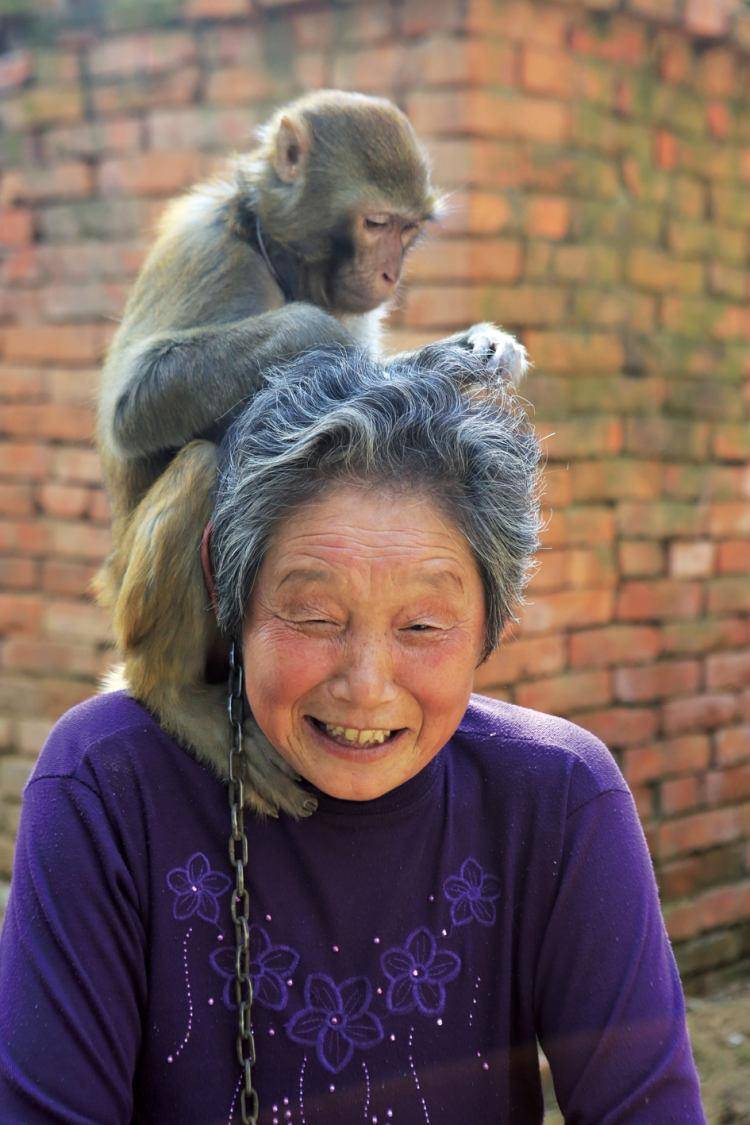 你拿我当耍猴图片图片