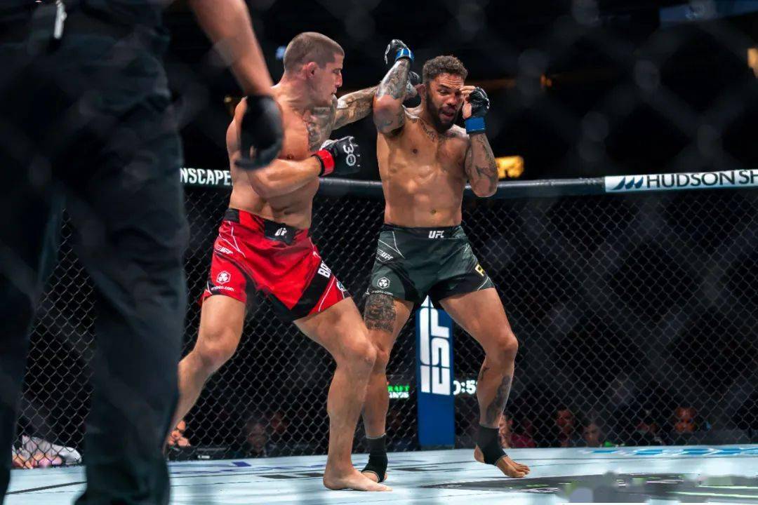 "满级大号"完美通关 | ufc289后记_大流士_奥利维拉_比赛