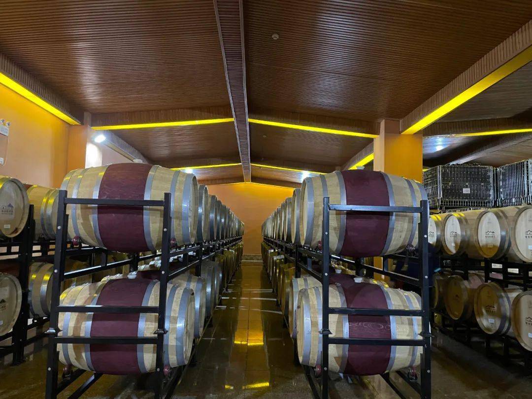 绽放——吴忠市立足优势推动葡萄酒产业高质量发展_酿酒_贺兰山_酒庄