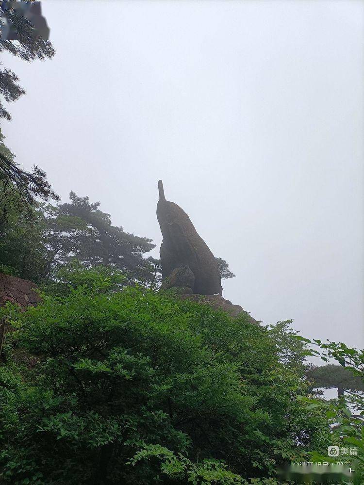 黄山之旅_云海_玉屏_迎客松