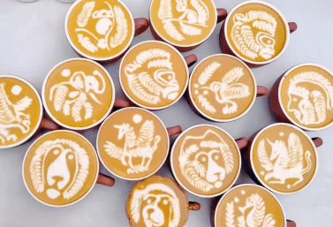 gabee,村口大树,35mm,屋里咖啡.