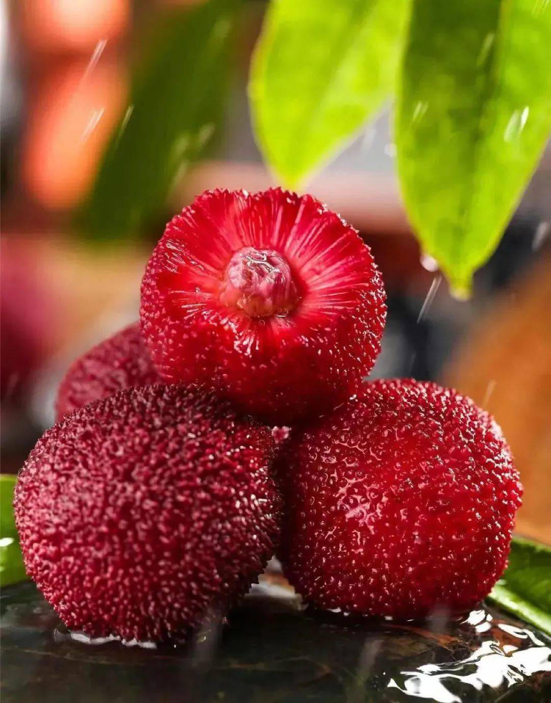 宜兴杨梅,靓丽出圈!_种植_品质_荸荠