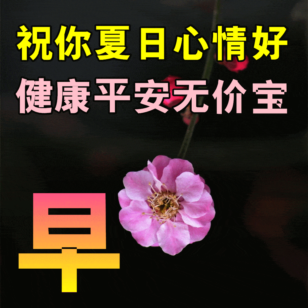 6月14日最漂亮早上好动态表情图片大全,早晨好动图美图大全_亲爱的