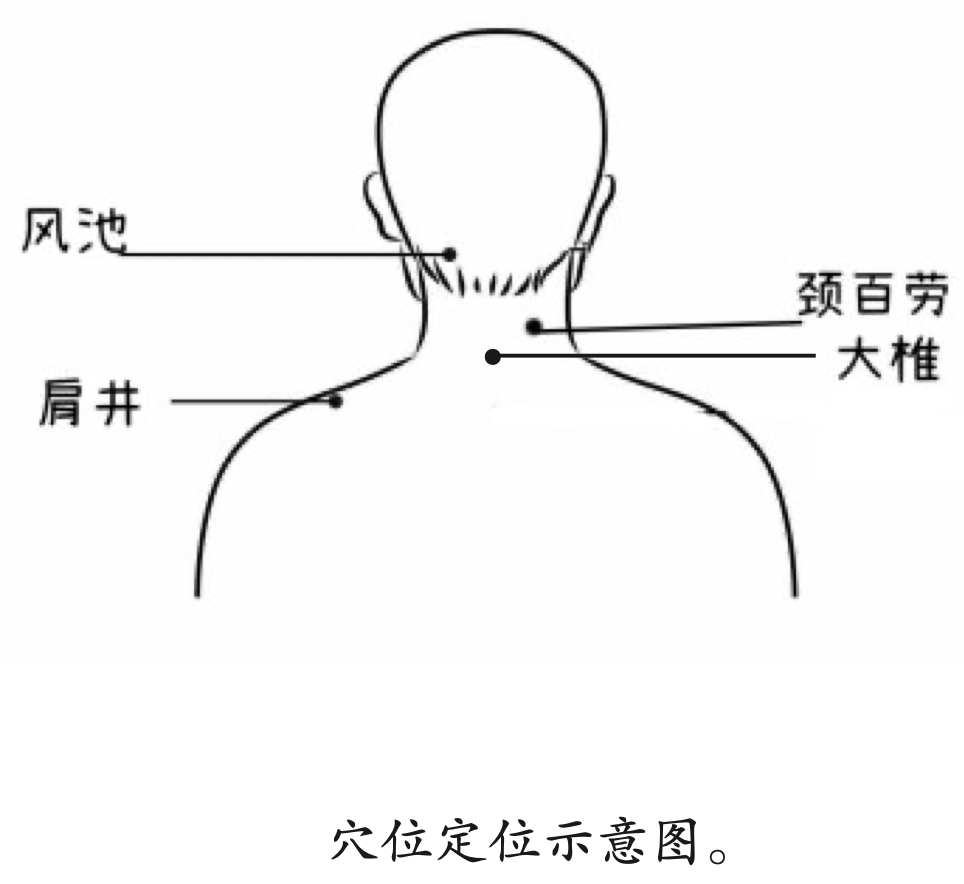 颈百劳的准确位置图图片