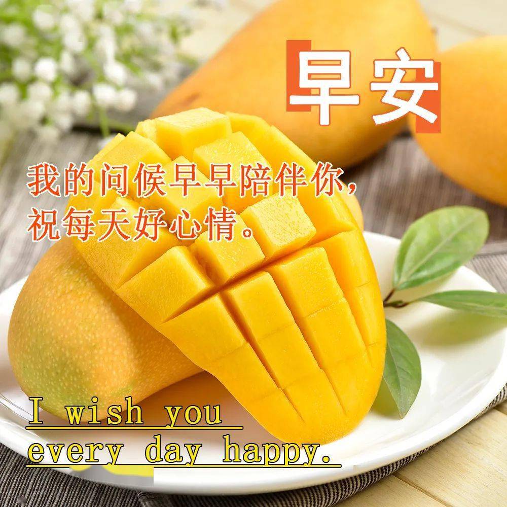 今日最新早上好表情图片大全,67愿幸福如意,快乐久久!