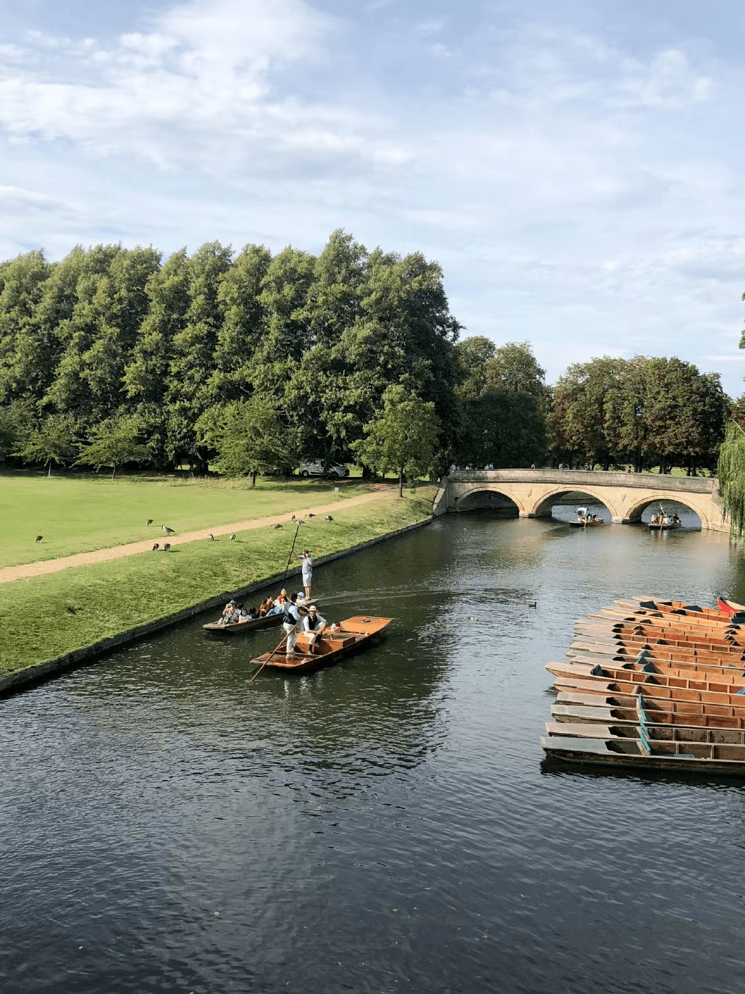 哭了！英镑疯涨破9，创两年新高！现在读G5一年要花多少钱？_搜狐网