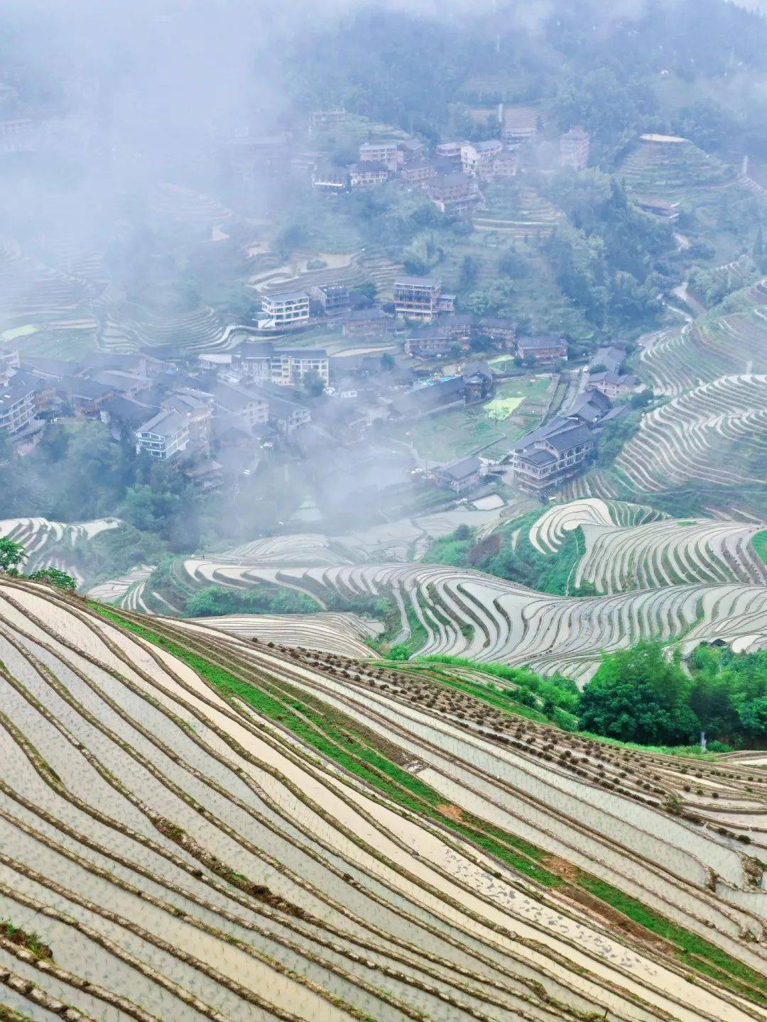 一年四季不同的龙脊梯田,约吗?_景区_桂林市_龙胜