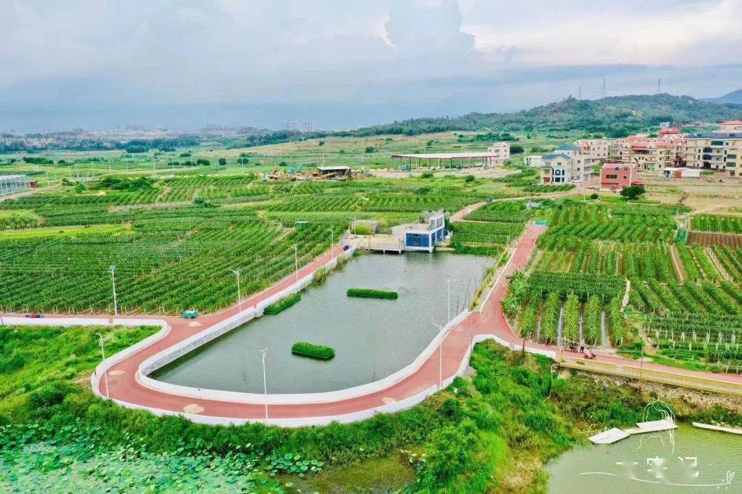 大宅村位于厦门翔安区香山街道,地处省级风景名胜区香山脚下,三面环山