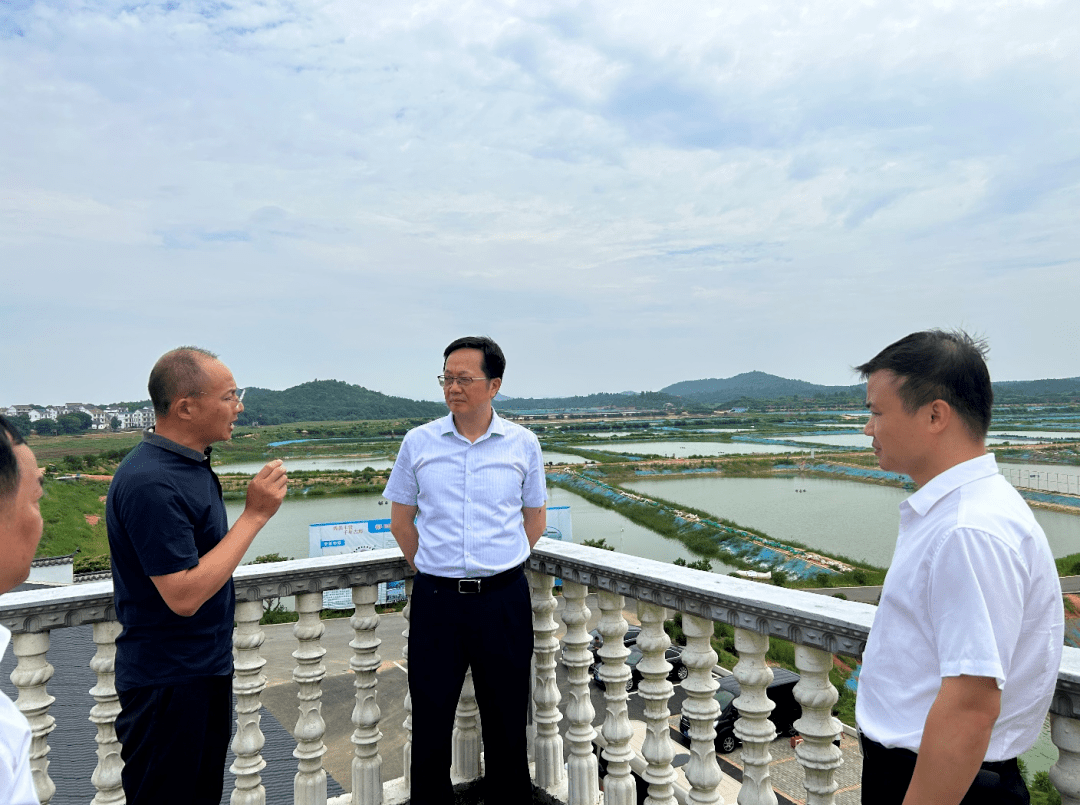 在鄱阳饶埠扬澜生态农业有限公司罗氏沼虾养殖基地,吴国昌指出,企业要