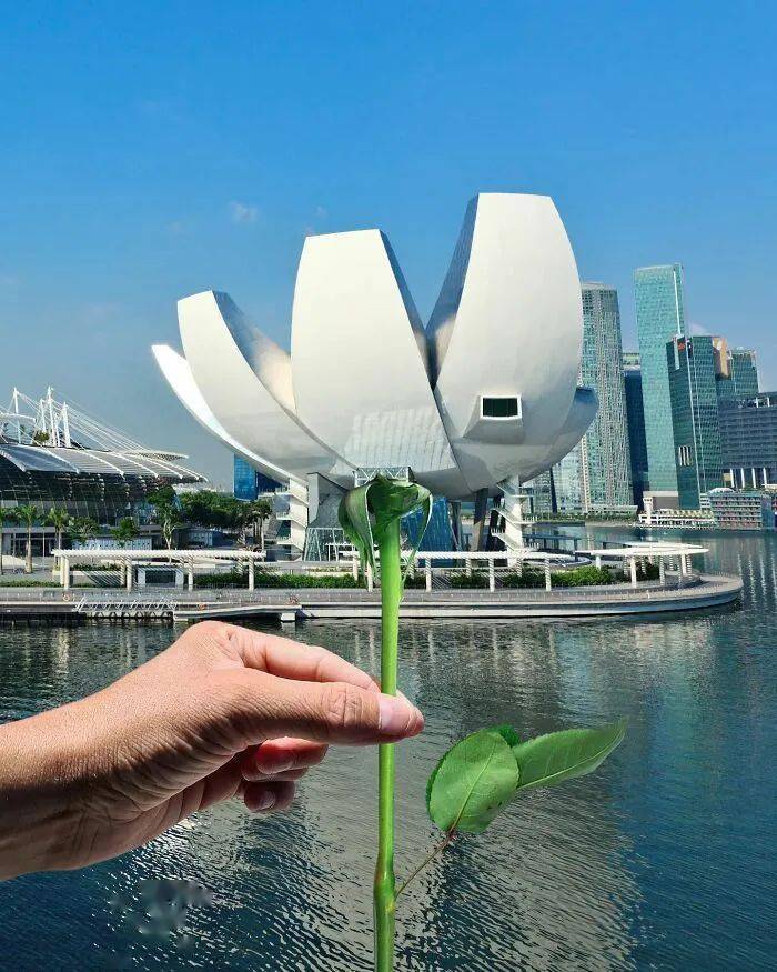 幽默的错位摄影,让一切变的好有趣._创意_绘画_图片