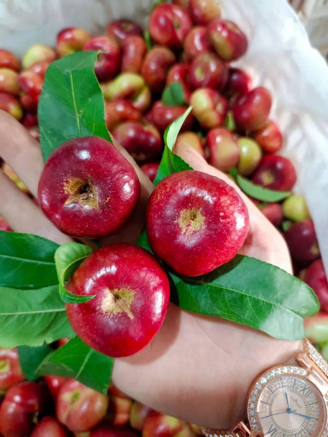 9元抢4.5斤约28枚【陕西纽扣油蟠桃】_大荔_口感_食用