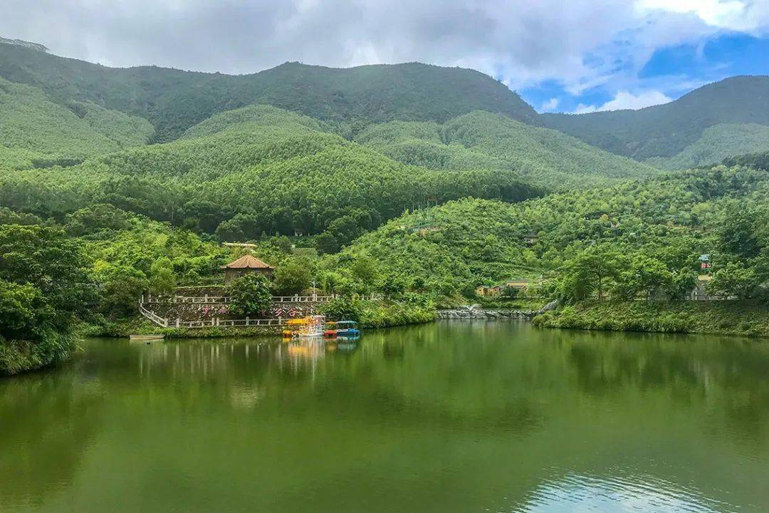 龙海罗汉峰生态园图片
