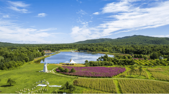 "祖国林都"奏响绿色新曲_发展_伊春市_林区
