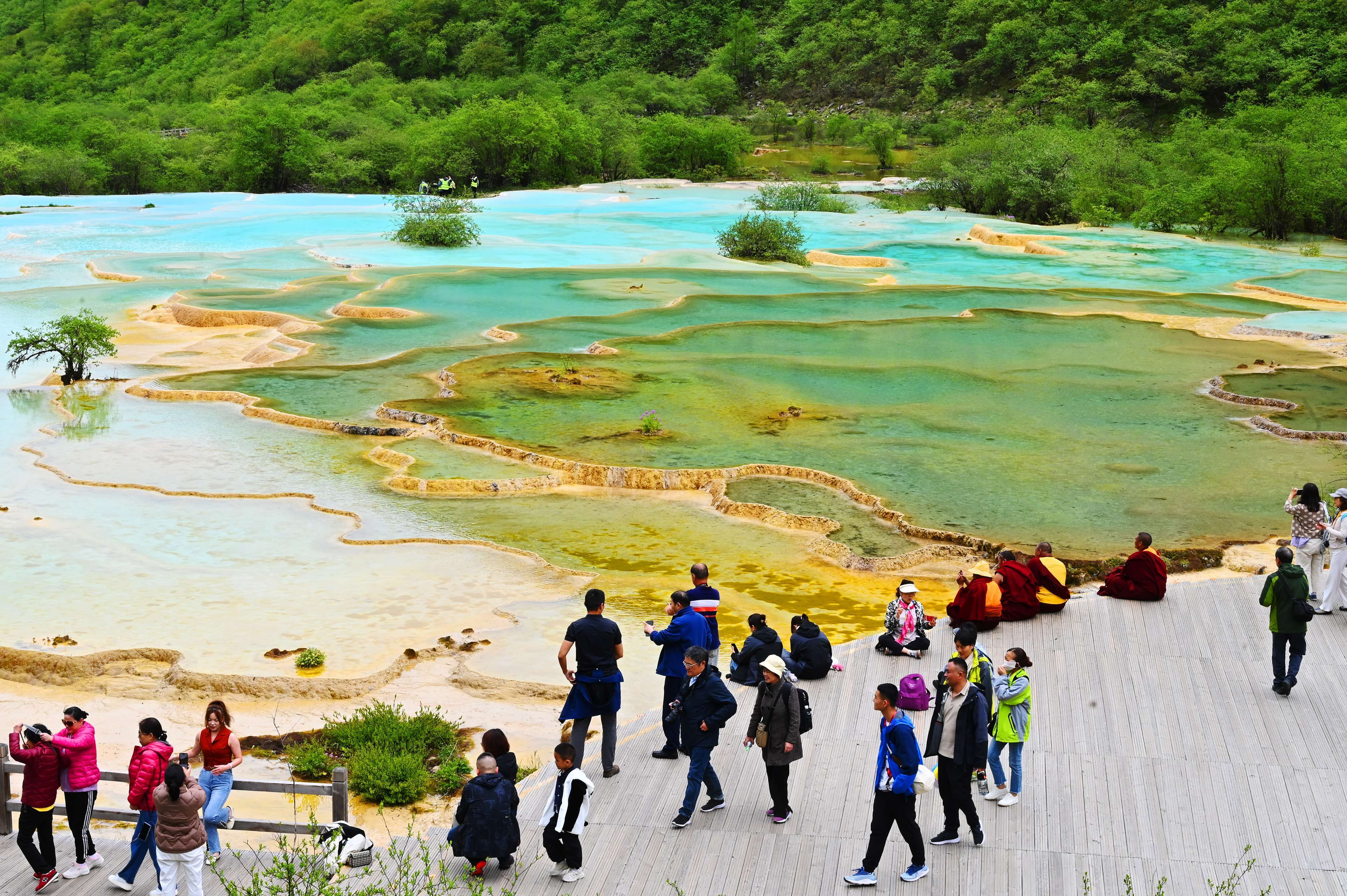 6月19日,初夏时节,世界自然遗产黄龙风景名胜区风景如画,吸引众多游客