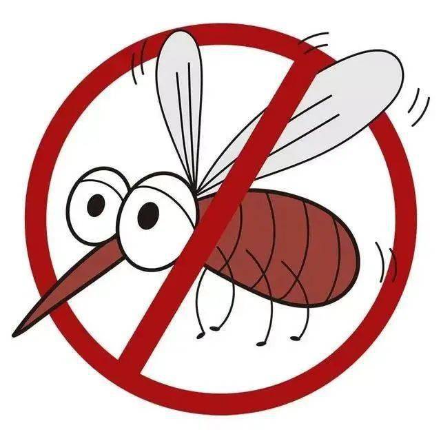 防蚊灭蚊知识小科普