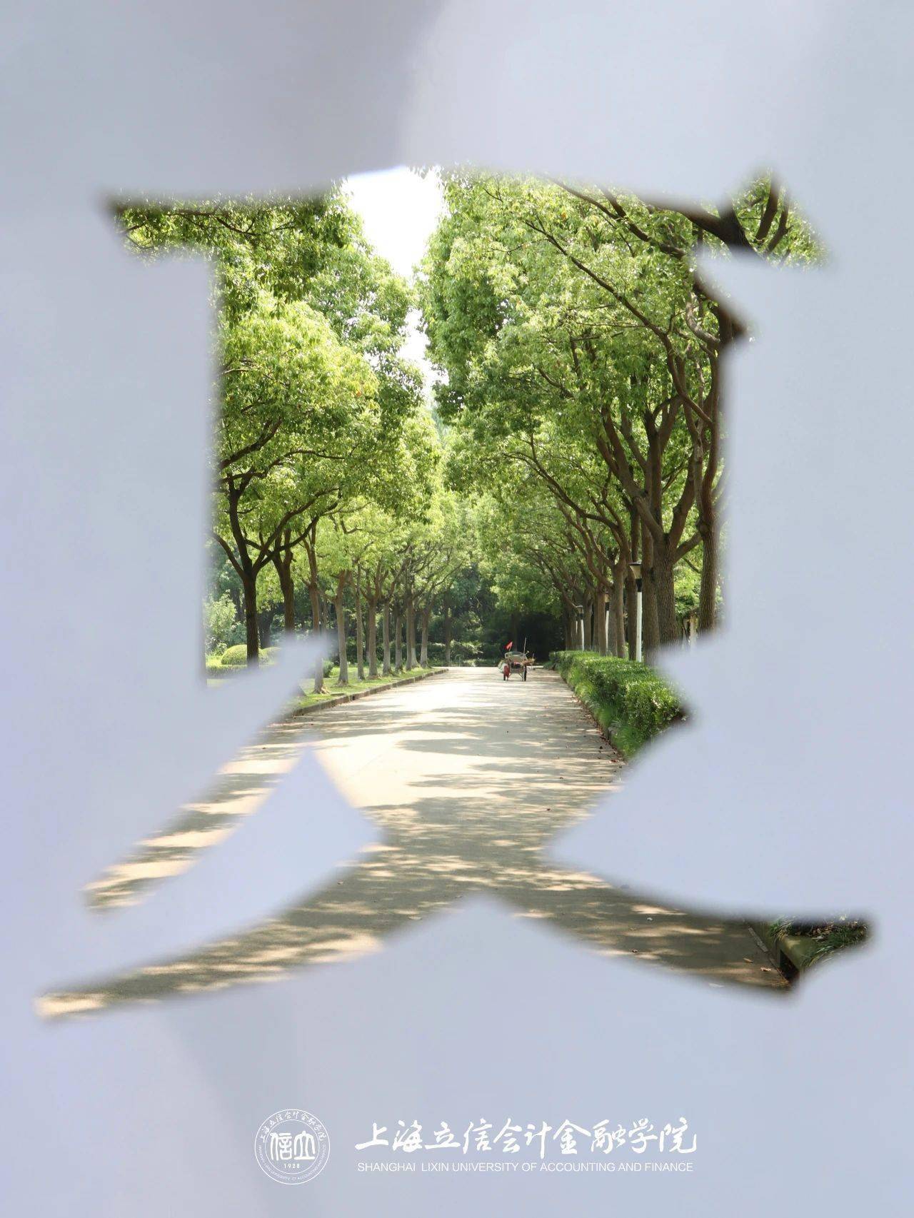 上海立信会计金融学院融媒体中心出品责编/萱微图片/孙宁远,辛玥,刘