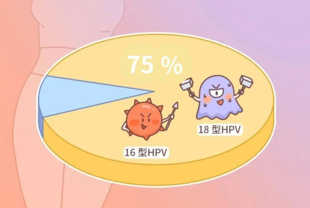 預防宮頸癌真的非得接種九價hpv疫苗嗎?