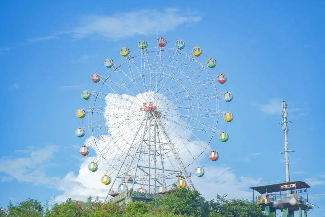 恩平花海欢乐世界直通车开通啦~_表演_乐园_游乐