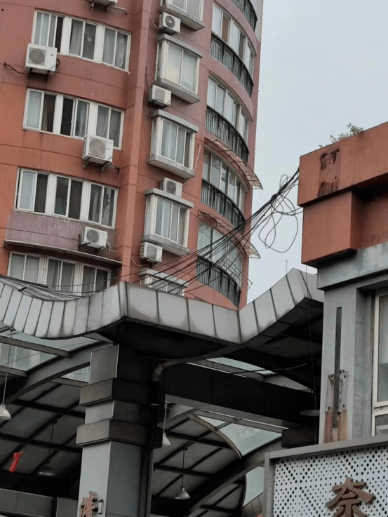 钱塘不文明现象曝光台 ⑭ | 6号大街,19号大街,学林街......这些不