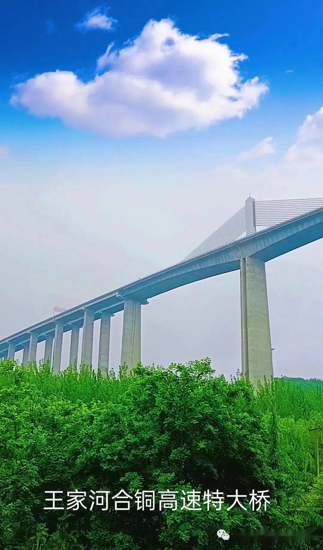 67从印台中学至川口 铜川漆水河上的桥_桥梁_城市_河水