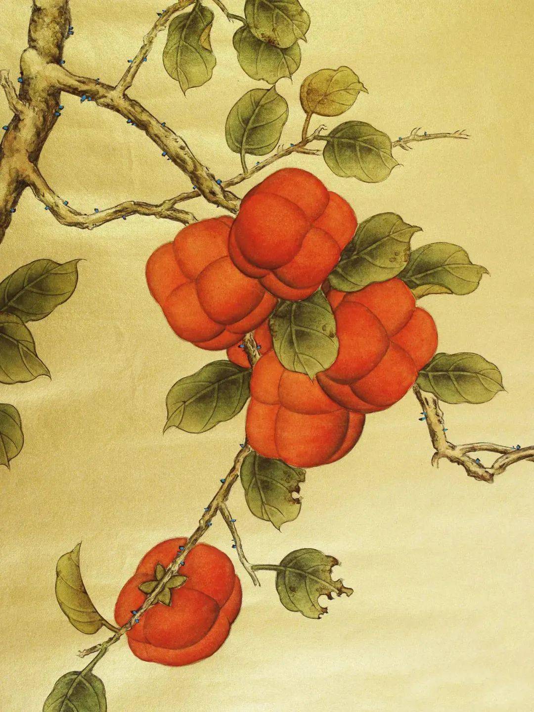 图文教程 | 李保山工笔四条屏之《太平鸟》图文步骤示范_花鸟_图片_文