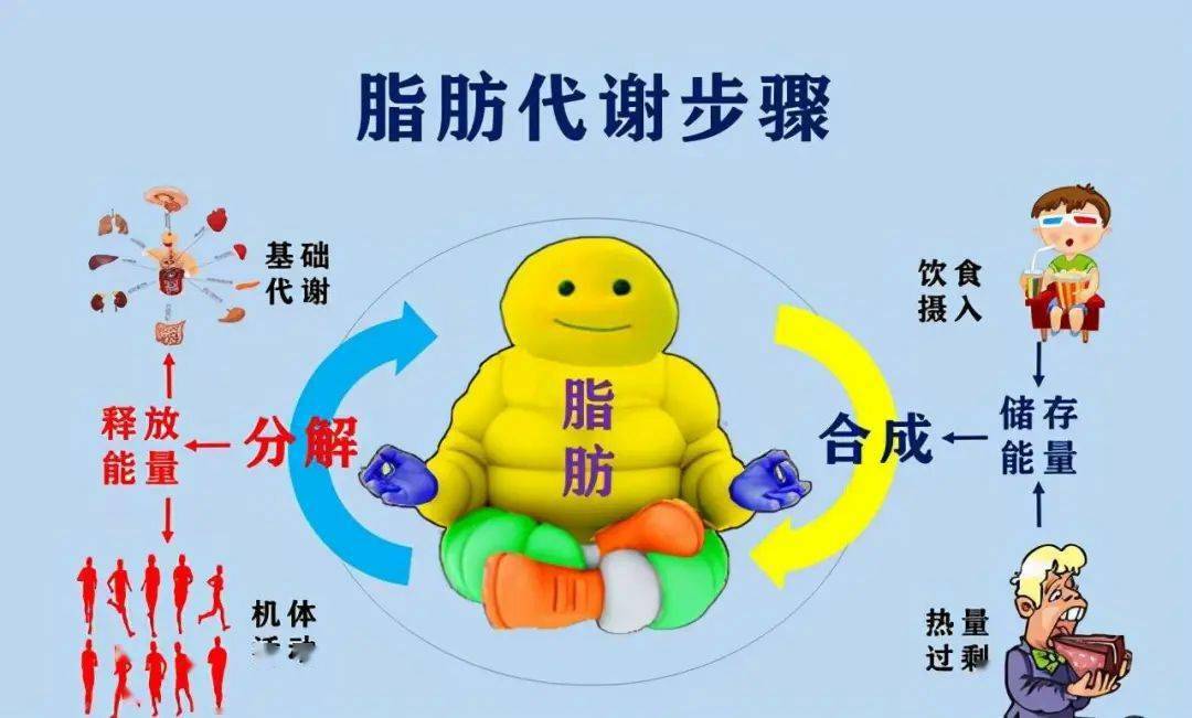 流汗很可能消耗的是你今天吃的饭,喝的饮料而已,根本就和脂肪没有多大