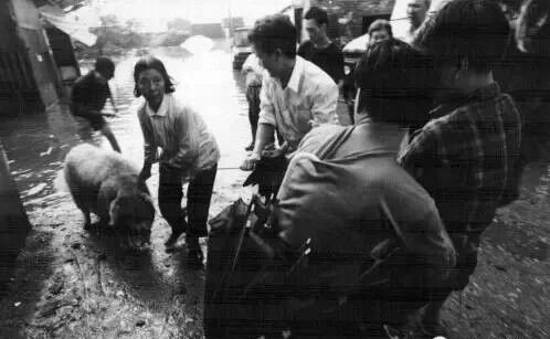 回顾：新化原县长刘佑华指挥抗击96特大洪水纪实！