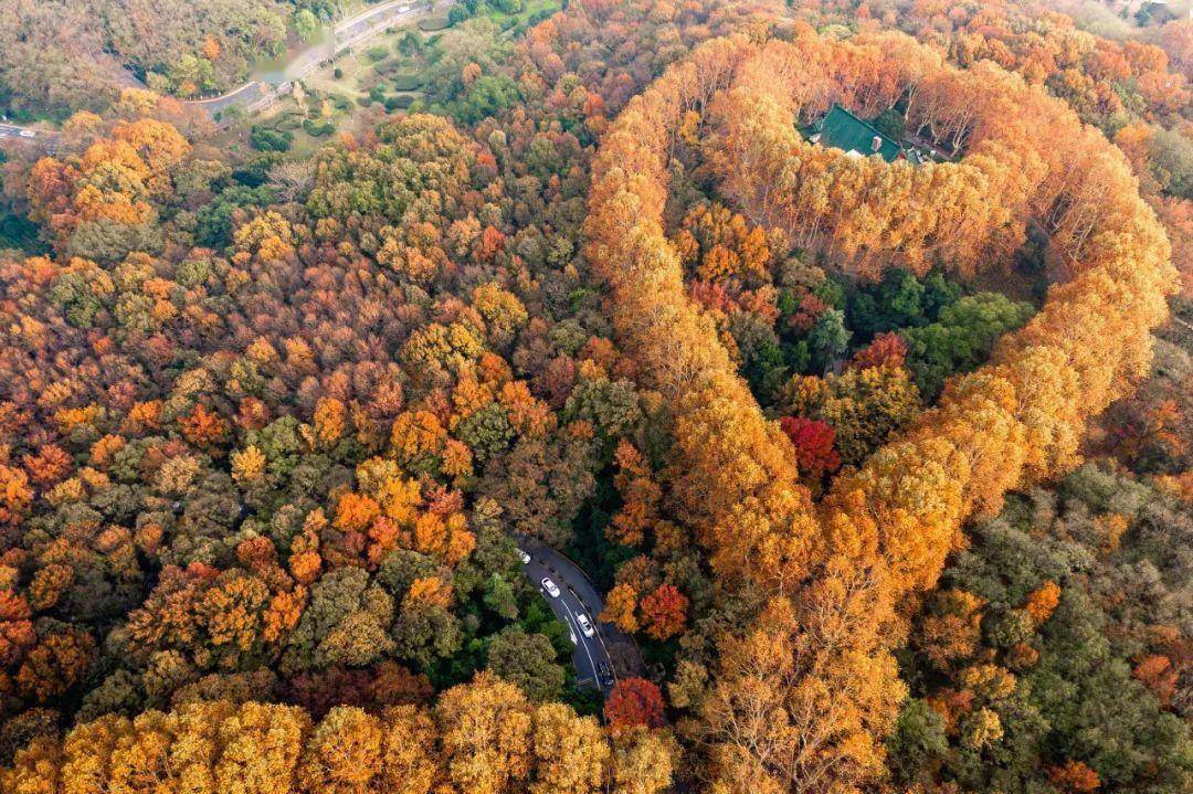 很多人称其为蒋介石对宋美龄的爱情宣言,是蒋宋倾世之恋的见证.