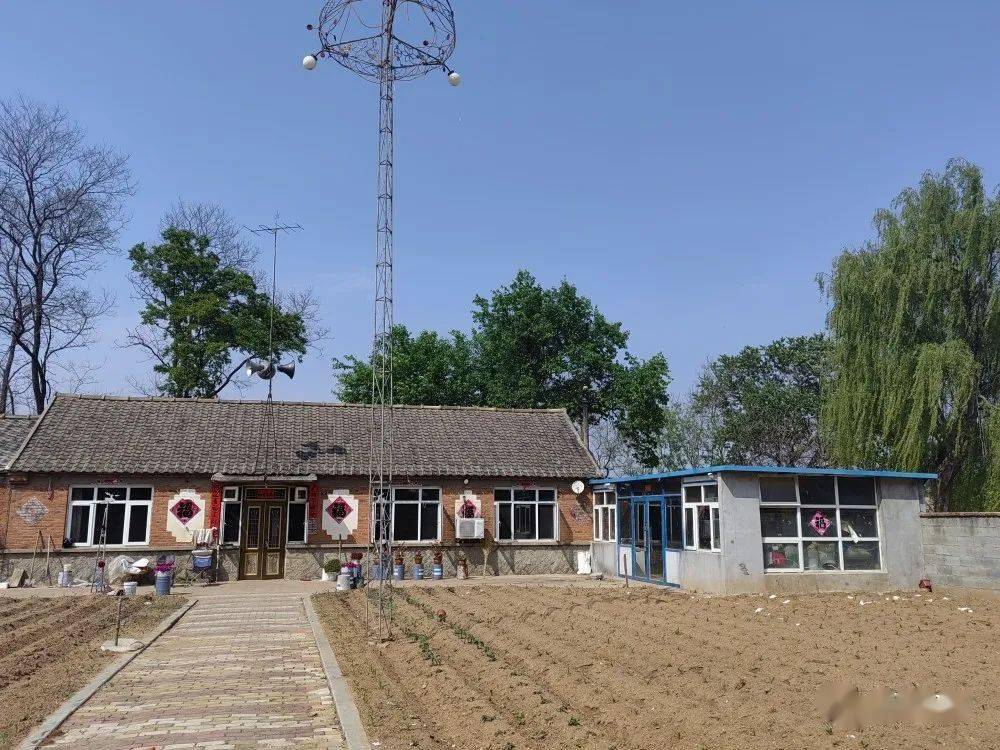 建和美乡村 晒美丽庭院|晒晒我的小院子⑤光明山镇_庄河市_桃花_工作