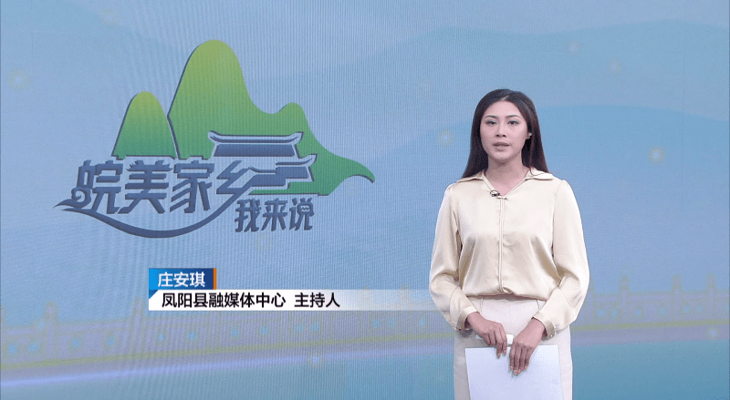 丹凤主持人图片