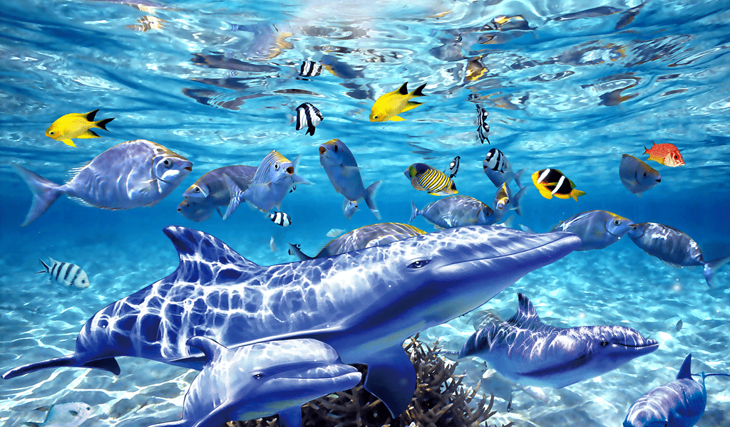 铜仁九丰极地海洋世界暑假美人鱼表演7月1日升级开放,军事主题装备