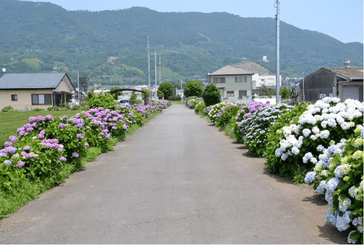 福州龙岩永福樱花园▲南京溧水郭兴村·无想自然学校▲insitu花园
