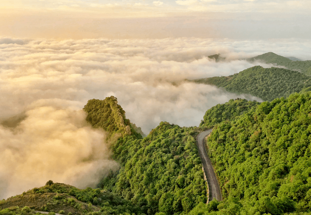 武乡好地方 | 板山是夏日最佳避暑福地_优惠_景区_山风