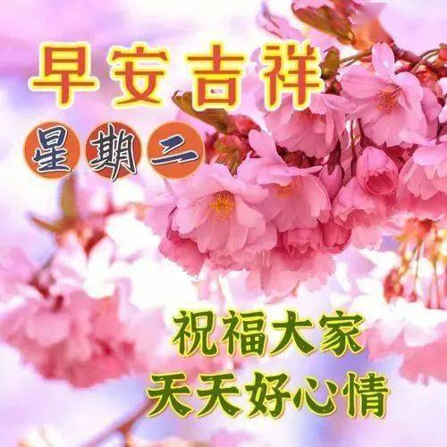 最新早上好祝福问候语精选，早上好暖心祝福问候语（早上好问候语温馨简短）