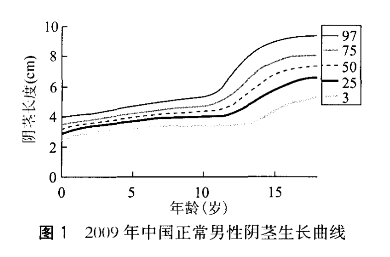 国内关于jj的参考数据:▲来源:《正常男性阴茎生长发育调查》正确测量