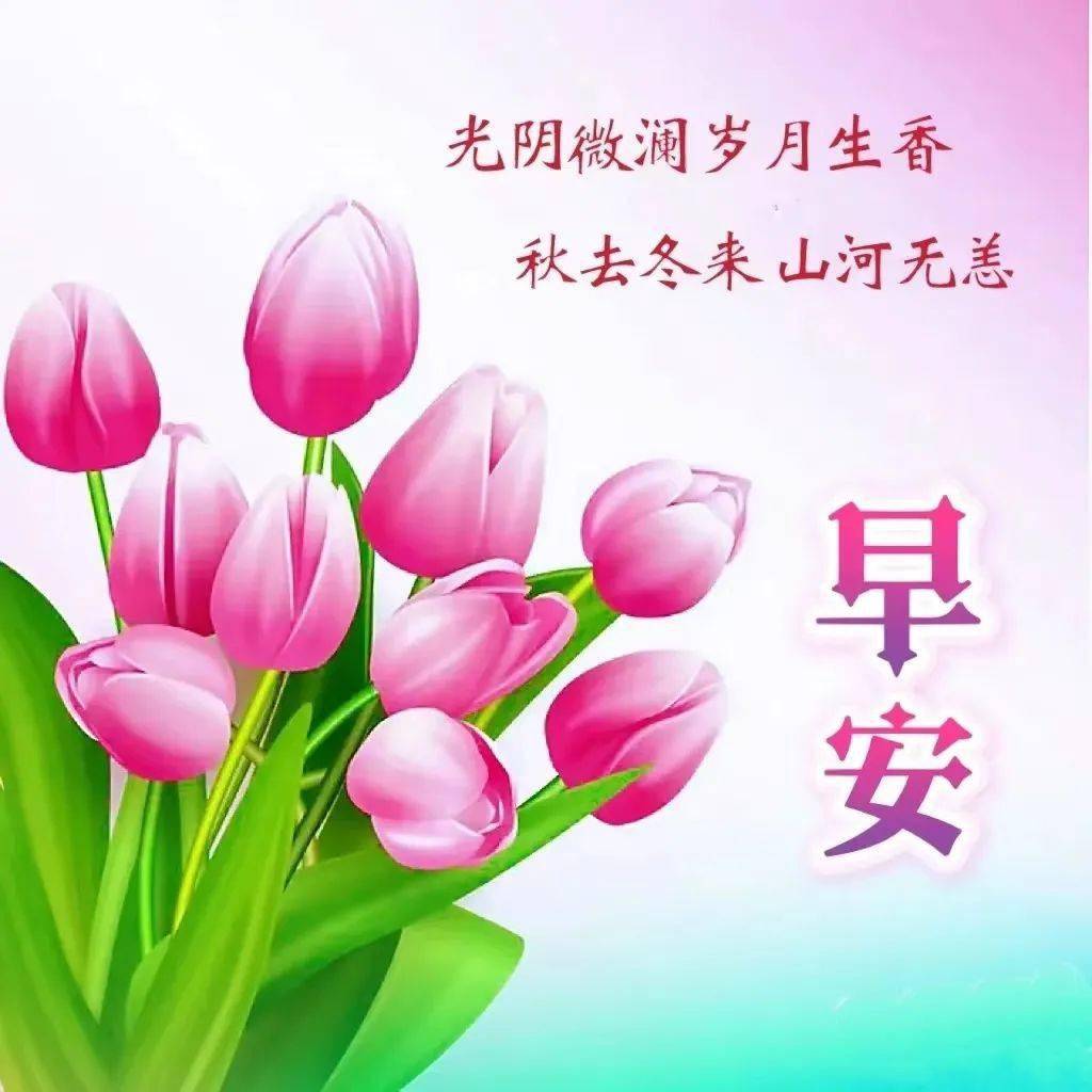 最新早上好祝福问候语精选，早上好暖心祝福问候语（早上好问候语温馨简短）