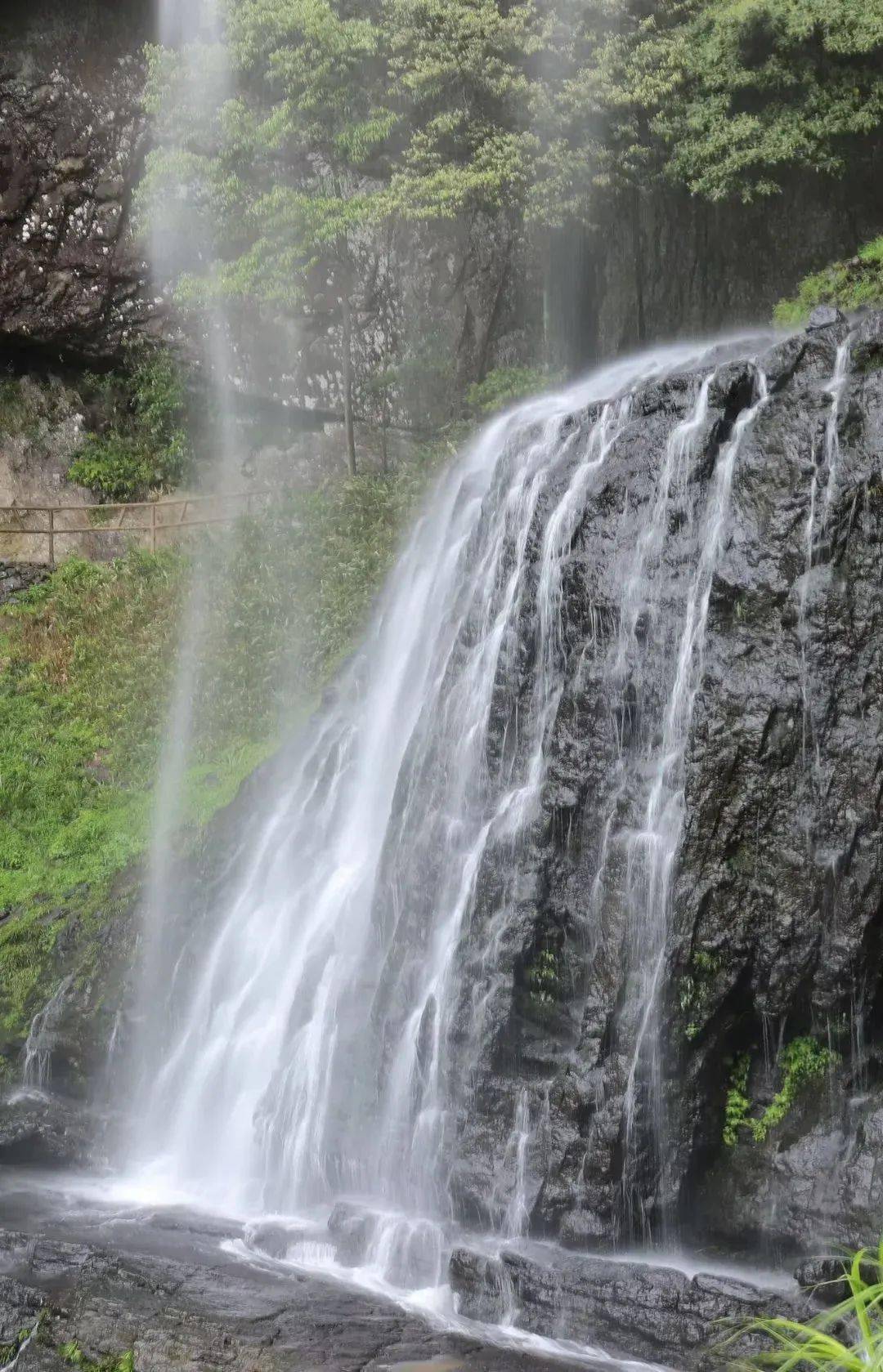 鸳鸯溪的瀑布_湖面_栈道_绿色